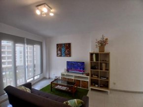 Apartamento céntrico - La Laguna